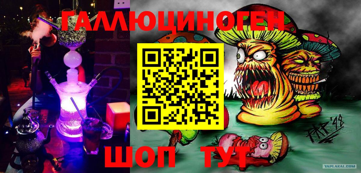 Псилоцибиновые грибы Psilocybine cubensis Железногорск
